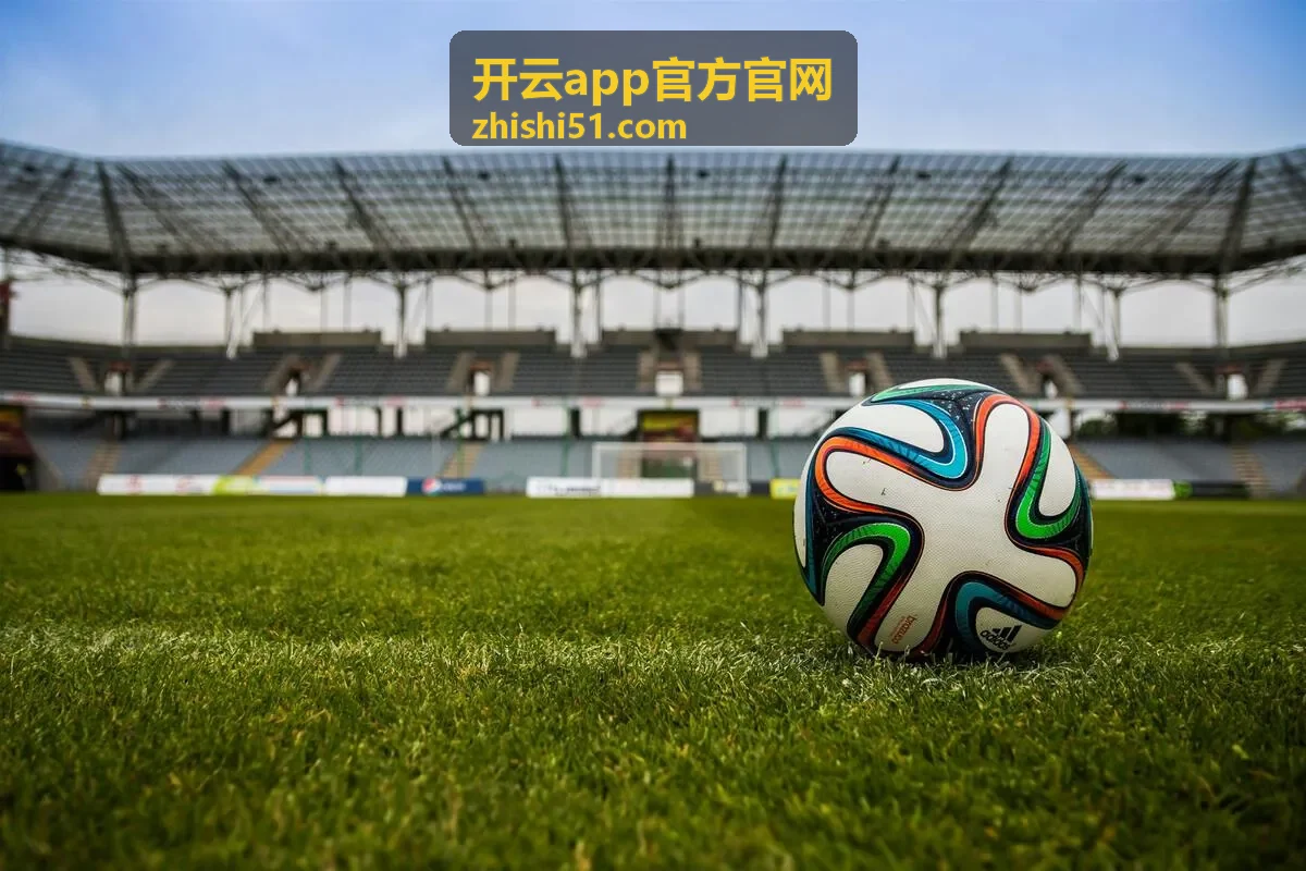 开云app官方官网版本下载与更新提醒功能示意图