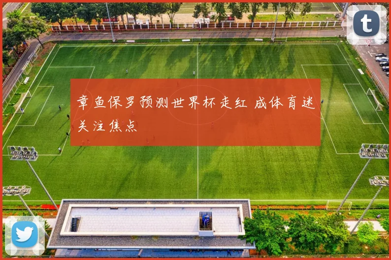 章鱼保罗预测世界杯走红 成体育迷关注焦点