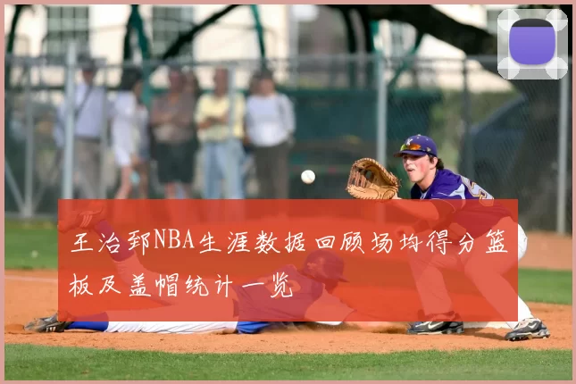 王治郅NBA生涯数据回顾场均得分篮板及盖帽统计一览