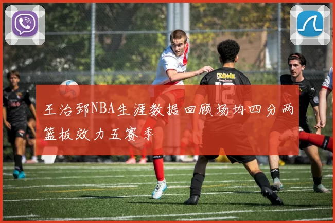 王治郅NBA生涯数据回顾场均四分两篮板效力五赛季