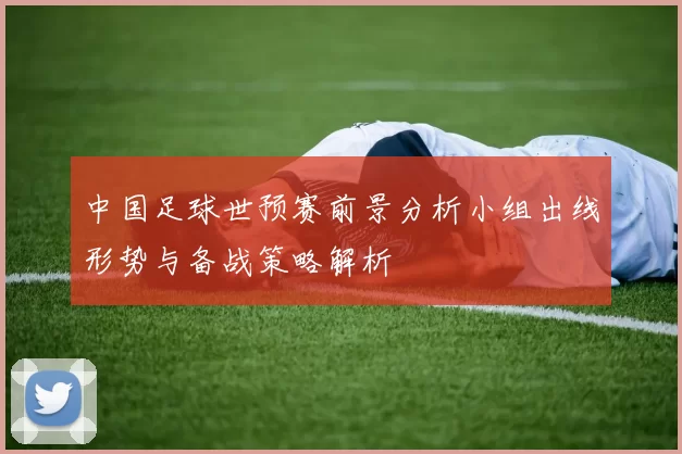 中国足球世预赛前景分析小组出线形势与备战策略解析