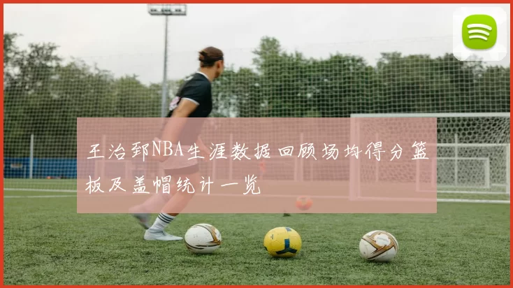王治郅NBA生涯数据回顾场均得分篮板及盖帽统计一览