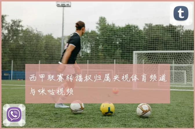 西甲联赛转播权归属央视体育频道与咪咕视频