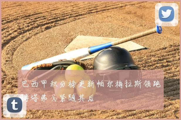 巴西甲积分榜更新帕尔梅拉斯领跑博塔弗戈紧随其后